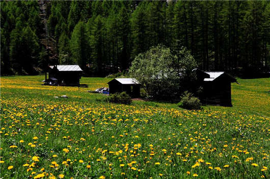 高含量文憑，優秀教育體制，德國留學為您帶來不一樣的體驗！