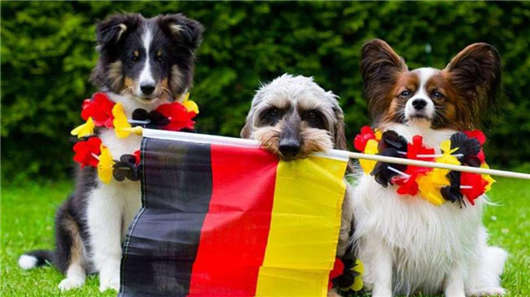 投資移民德國開銷大不大？移民德國申請要求怎么樣？