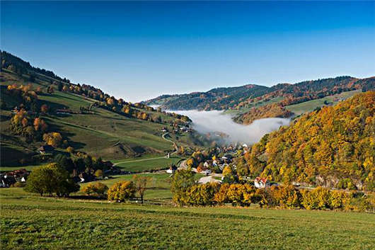 德國移民后的福利不止是父母津貼，還有經(jīng)濟援助