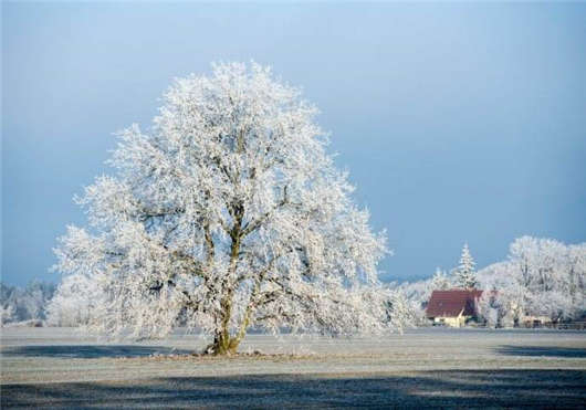 德國(guó)簽證留學(xué)攻略：十大醫(yī)學(xué)學(xué)院（上）