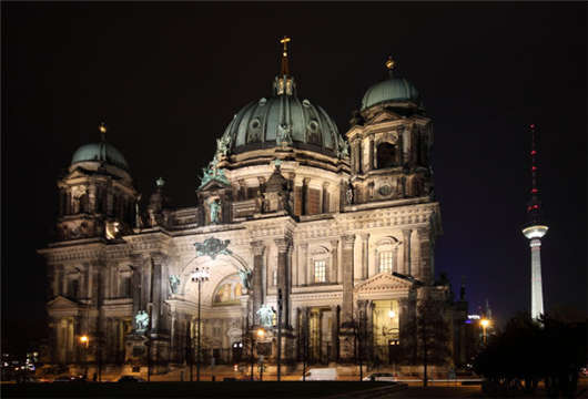 專業化特征突出