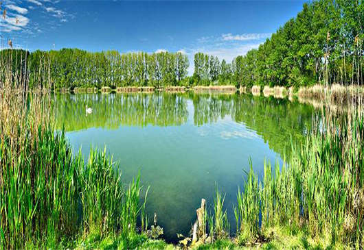 德國森林與經濟之間的關系（下）