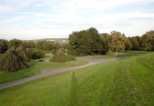 德國的發展在不斷衰竭，那么真相是怎么樣的？