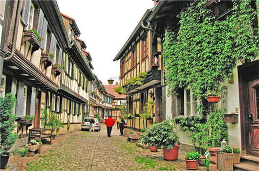 移民政策解讀，是否值得去申請？