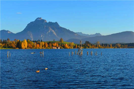 移民方式介紹,技術(shù)移民為首選方式 移民方式介紹,技術(shù)移民為首選方式