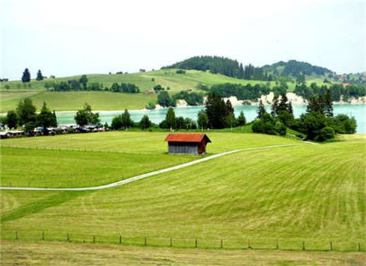 <a style='color:#268bd1;cursor:pointer;' href='/ymfs.html'>德國(guó)移民方式</a>之德國(guó)結(jié)婚移民介紹 德國(guó)移民方式之德國(guó)結(jié)婚移民介紹