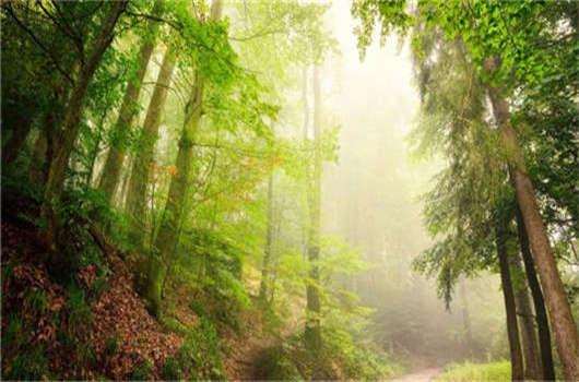 德國移民入籍條件介紹，該如何申請德國永居那？