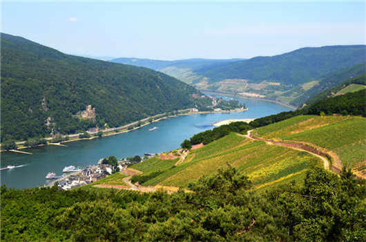 2020年德國技術(shù)移民法案常見問題解答！