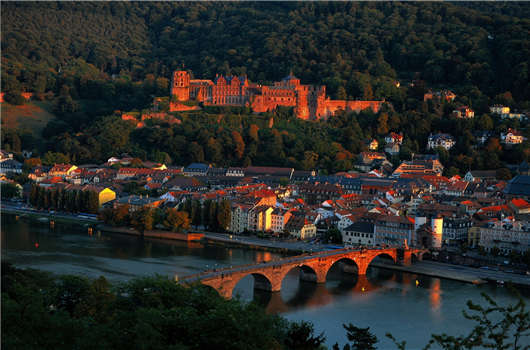 1597126766448864.jpg 25.jpg