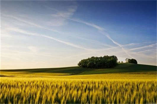 德國(guó)留學(xué)費(fèi)用要多少?之后德國(guó)護(hù)照如何辦理? 德國(guó)留學(xué)費(fèi)用要多少?之后德國(guó)護(hù)照如何辦理?